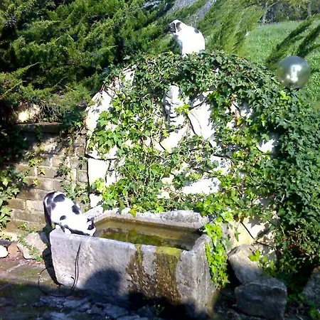 Villa Con Piscina